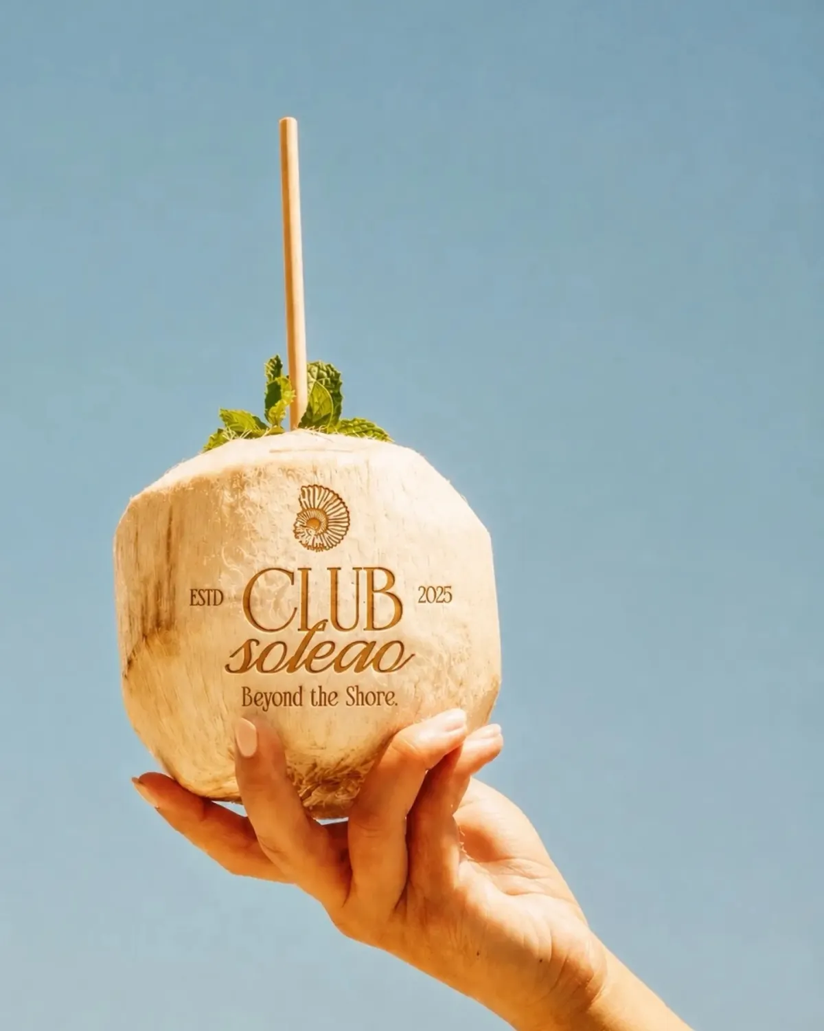 Hand holding a fresh coconut with a straw against a blue sky